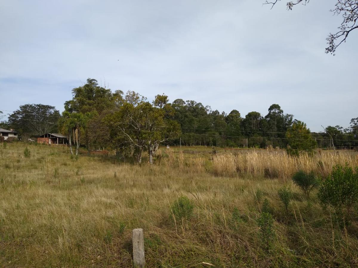 Chácara para Venda em Gramado / RS no bairro Várzea Grande Linha Carara