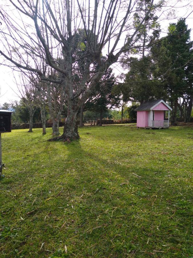 Chácara para Venda em Gramado / RS no bairro Várzea Grande Linha Carara