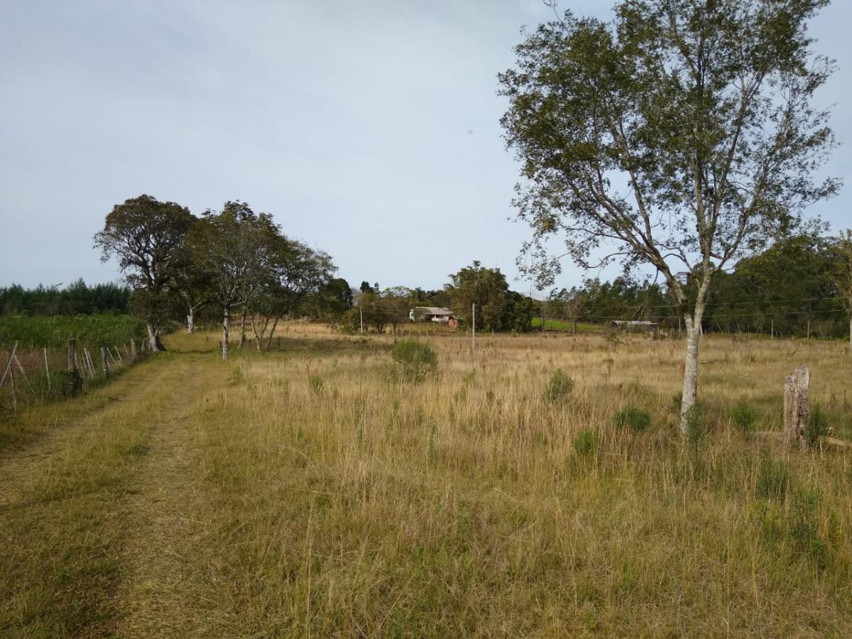 Chácara para Venda em Gramado / RS no bairro Várzea Grande Linha Carara