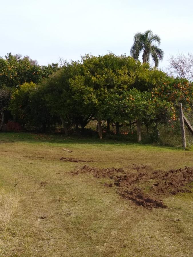 Chácara para Venda em Gramado / RS no bairro Várzea Grande Linha Carara