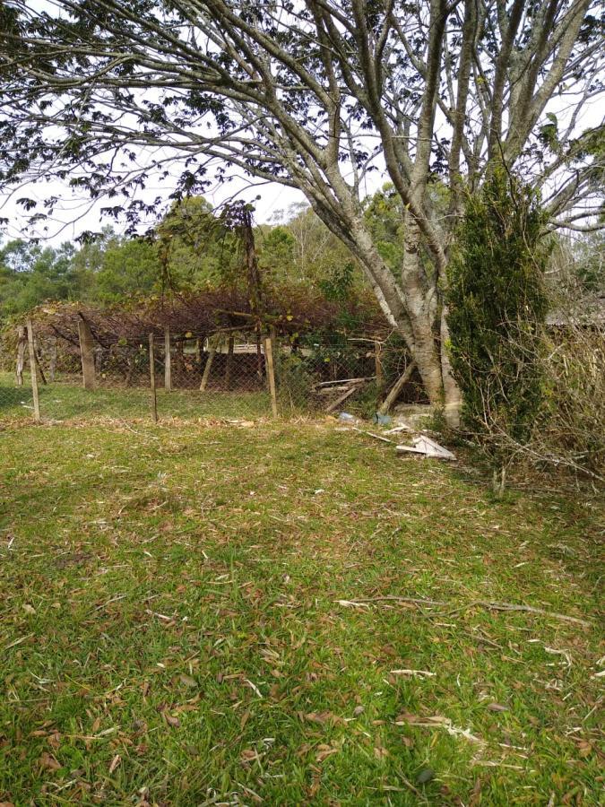 Chácara para Venda em Gramado / RS no bairro Várzea Grande Linha Carara