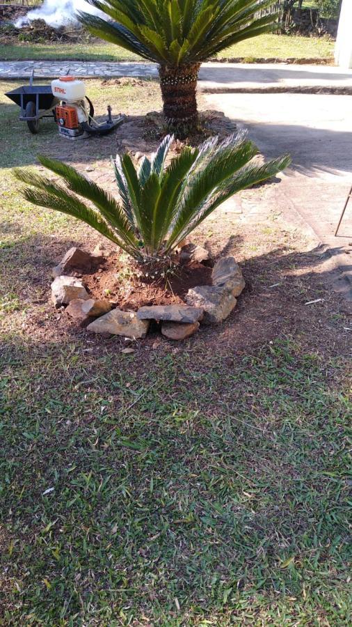 Chácara para Venda em Gramado / RS no bairro Várzea Grande Linha Carara