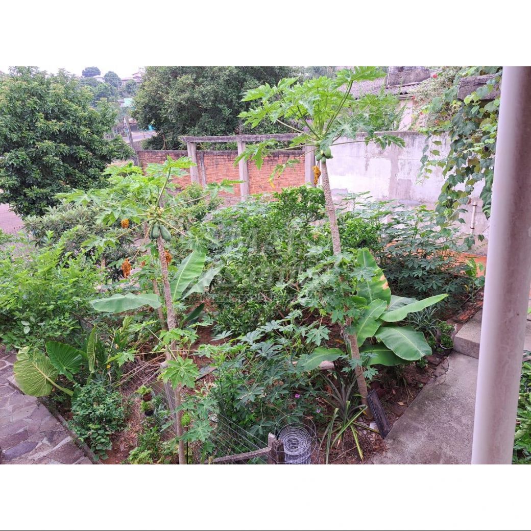 VENDA DE CASA